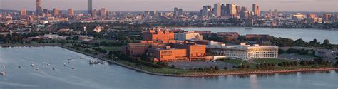 amherst registrar|umass boston registrar's office.